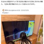 レス2番のサムネイル画像