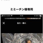 レス9番の画像2