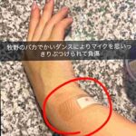 レス5番の画像1