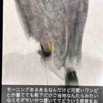 レス11番の画像1
