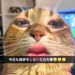 レス2番の画像1