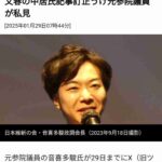 レス3番の画像1