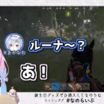 レス27番の画像1