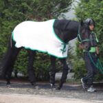 レス4番のリンク先のサムネイル画像