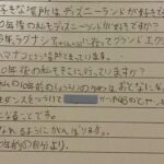 レス11番の画像2