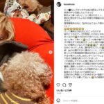 レス1番の画像2