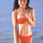 レス13番の画像1