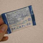 レス13番の画像5