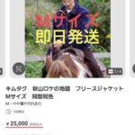 レス2番の画像3