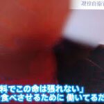 レス51番の画像1