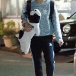 レス80番の画像2