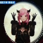 レス33番の画像1