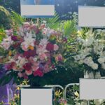 レス10番の画像1