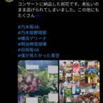 レス13番の画像2