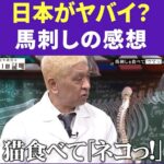 レス1番の画像2