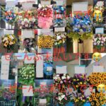 レス8番の画像1