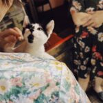 レス1番の画像5