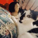 レス1番の画像3