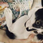 レス1番の画像4