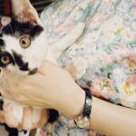 レス1番の画像2