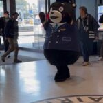 レス22番の画像1