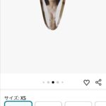 レス1番の画像2