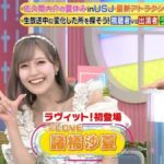 レス19番の画像1