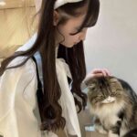 レス31番の画像8