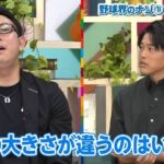 レス17番の画像1