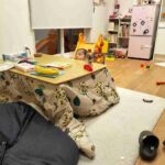 レス25番の画像1