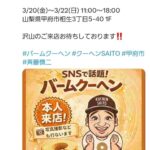 レス13番の画像1