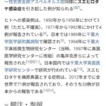 レス30番の画像1