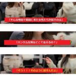 レス12番の画像1