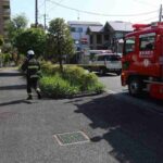 レス2番のリンク先のサムネイル画像