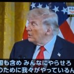 レス41番の画像1