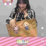 レス4番の画像1