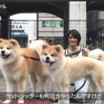 レス3番の画像1