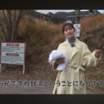 レス2番の画像1