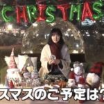 レス61番の画像1