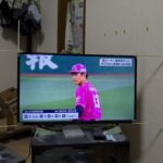 レス6番の画像1