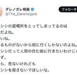 レス1番の画像1