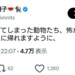 レス1番の画像1