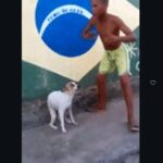 レス1番の画像3