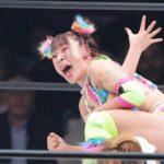 レス1番のリンク先のサムネイル画像