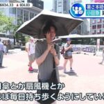 レス8番の画像1