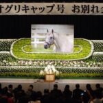 レス41番の画像1