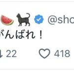 レス1番の画像2