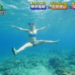 レス13番の画像1