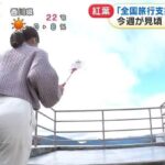 レス53番の画像5