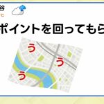 レス8番の画像1